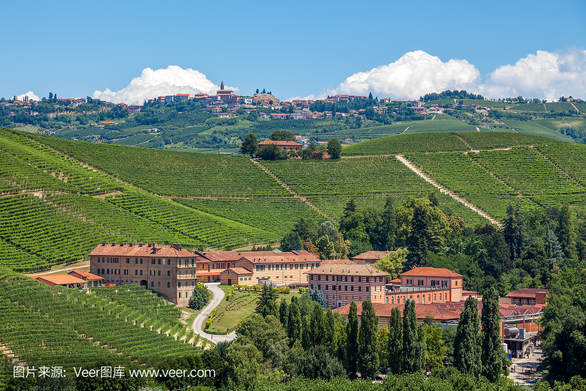 意大利皮埃蒙特的葡萄园和酿酒厂。